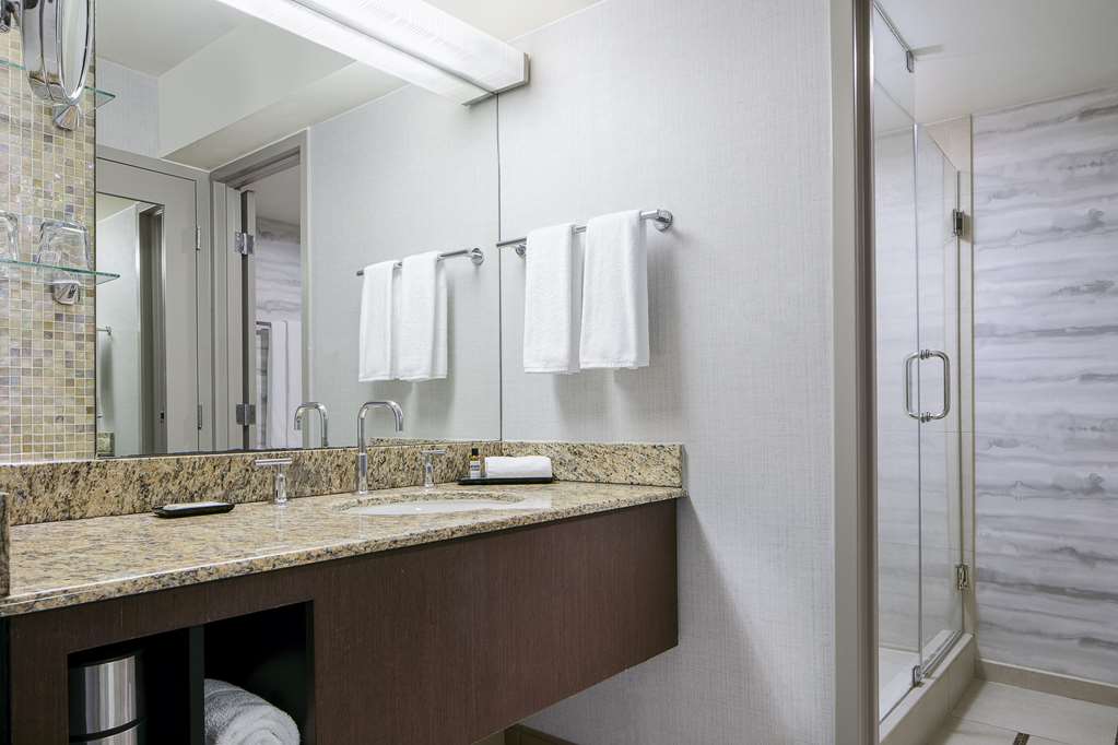 Hyatt Regency DFW International Airport Adjacent to Terminal C - photo 11