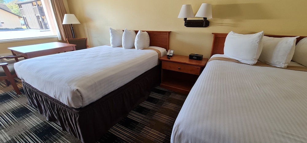 Oakridge Inn & Suites - photo 9