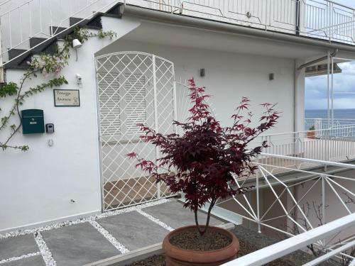 Terrazza Ammare - last minute hotel in Unknown City