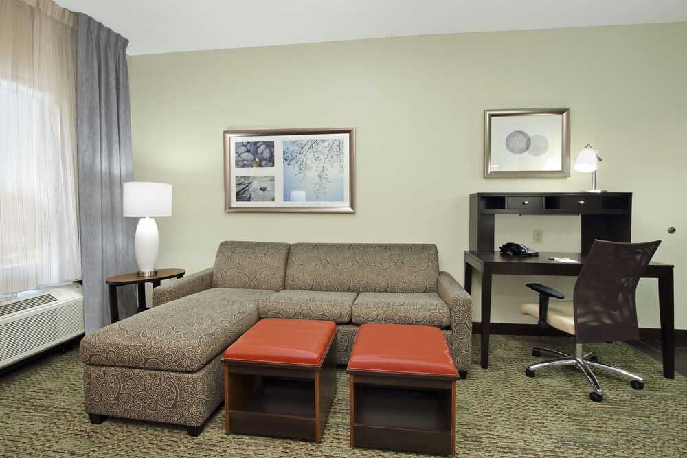Staybridge Suites Houston Medical Center - photo 5
