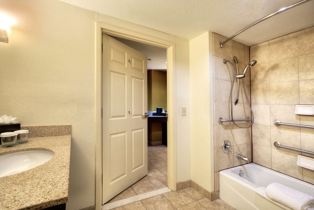 Embassy Suites by Hilton Laredo - photo 22