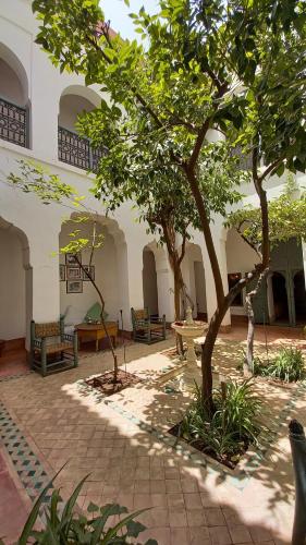 Dar El Kharaz - last minute hotel in Marrakesh