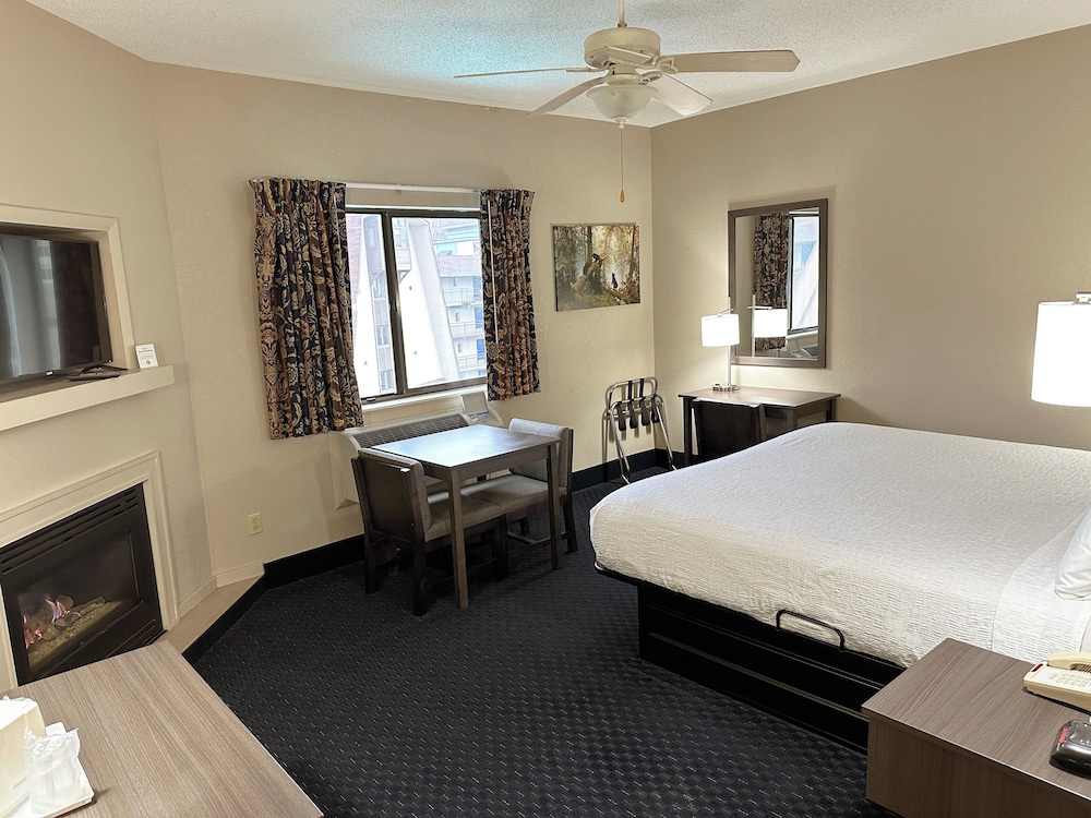 Sidney James Mountain Lodge - photo 22