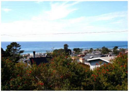 Snug Harbor Spring Special in Cambria, United States