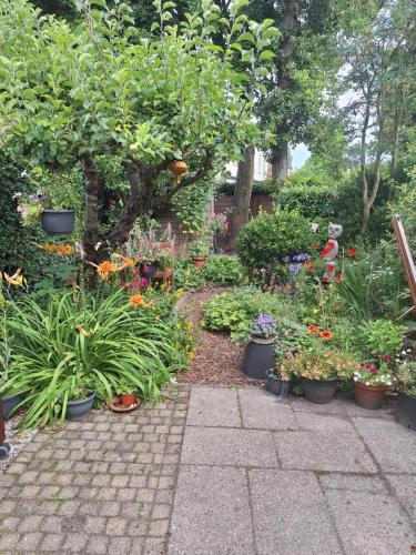 Residentie Blijdorp — Rotterdam — photo 2