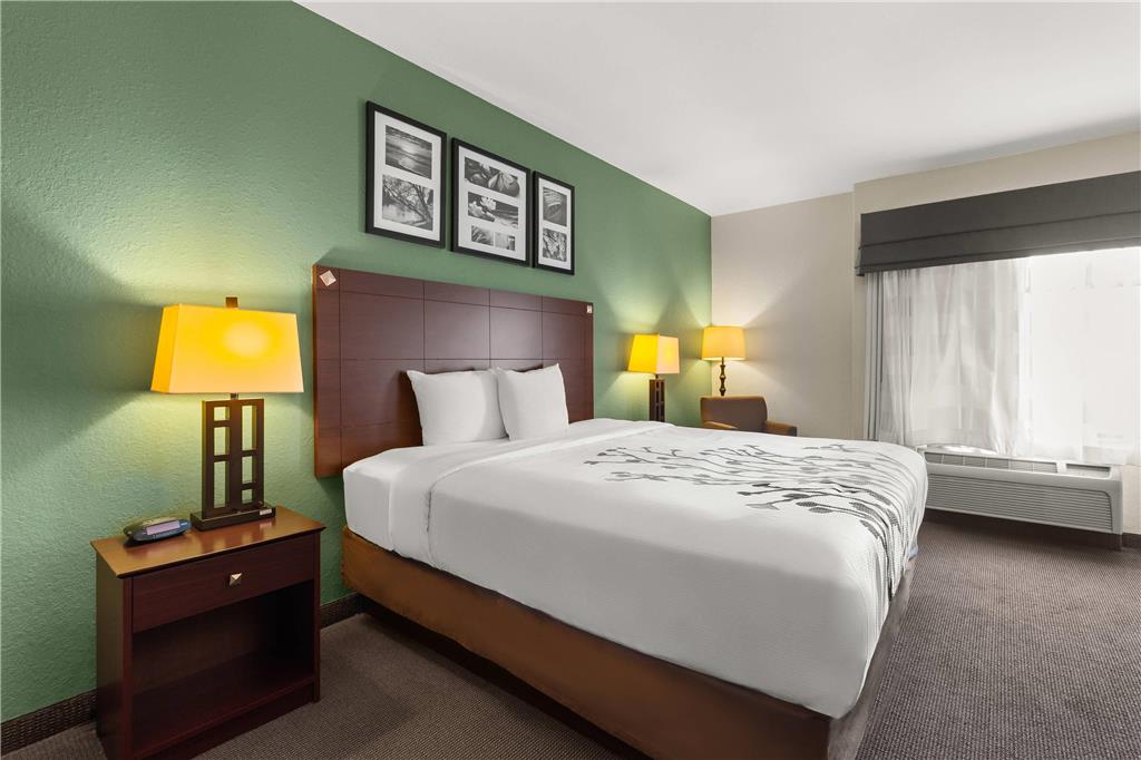 Sleep Inn & Suites Bush Intercontinental IAH East - photo 11