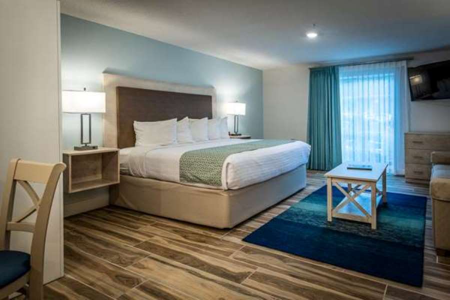 Palmera Inn and Suites - photo 6
