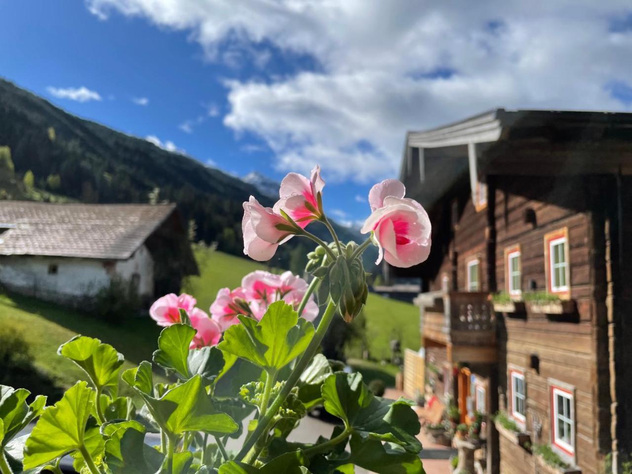 Arlerhof — 4-Star Luxury Hotel in Untertauern, Austria