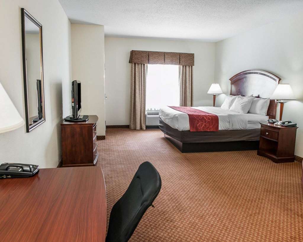 Comfort Suites near Indianapolis Airport - photo 24