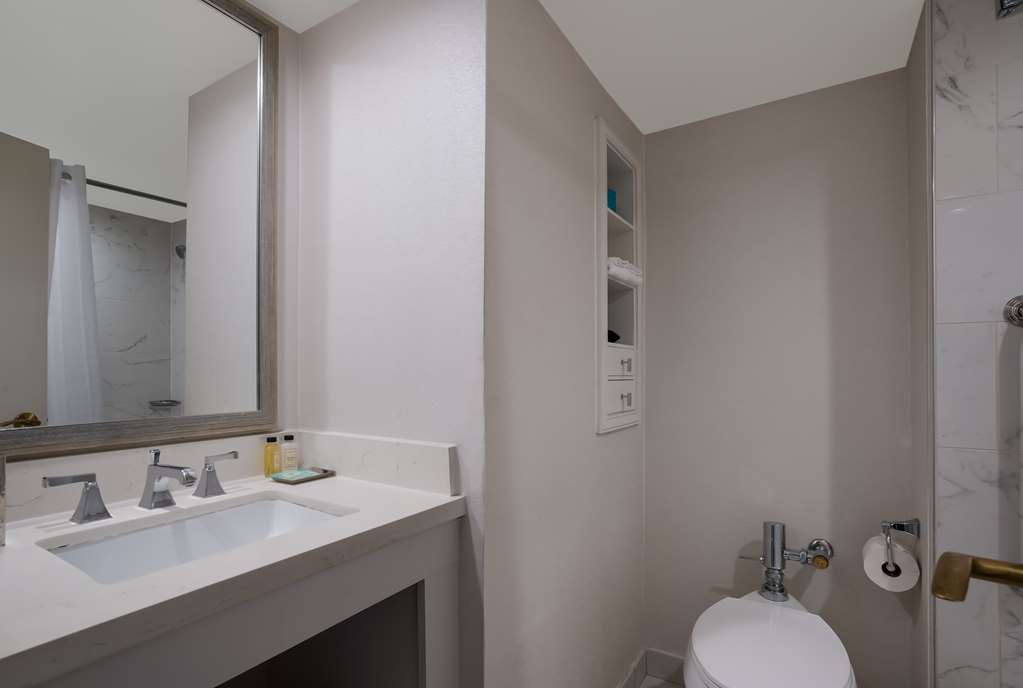 The Royal Sonesta New Orleans - photo 45