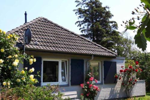 Feer Strunhüs Deelswai 49 - last minute hotel in Unknown City