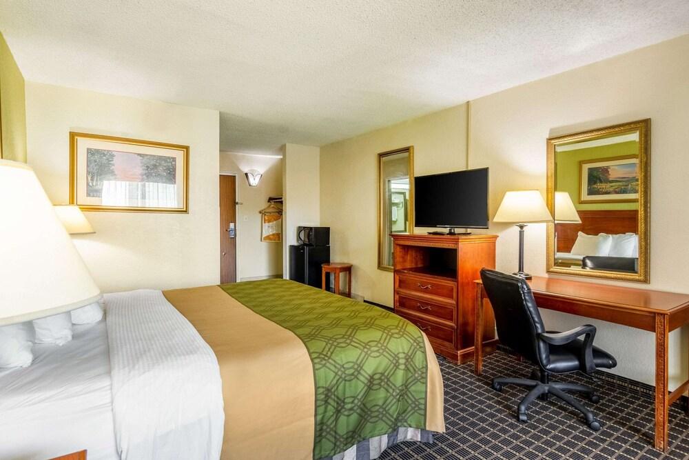 Rodeway Inn Central Richmond VA - photo 11