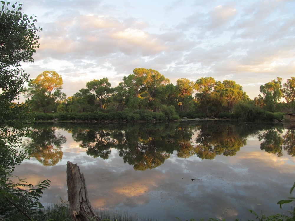 Lazy Oaks Resort - photo 17