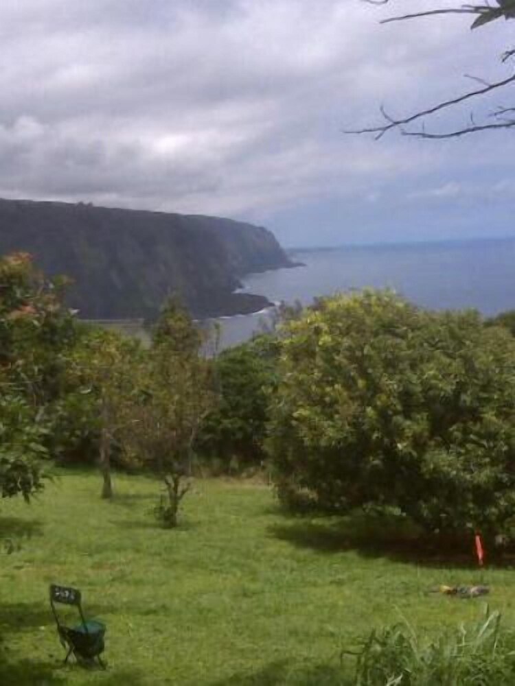 Hale Kukui Orchard & Cottages - photo 47