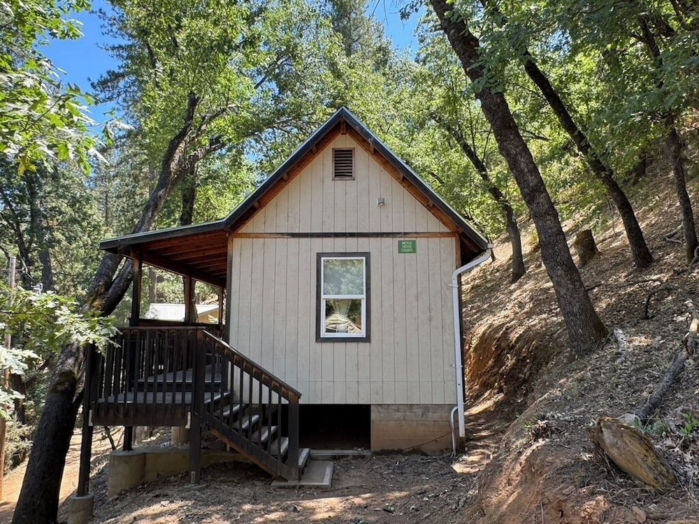 Yosemite Bug Rustic Mountain Resort - photo 132