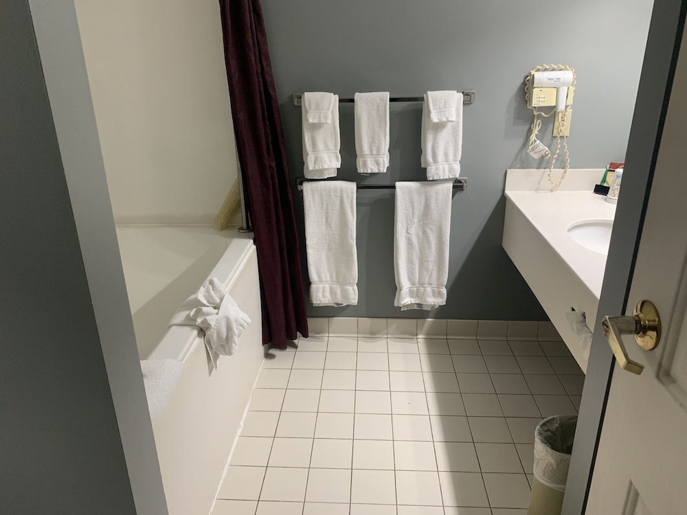 French Quarter Inn - photo 28