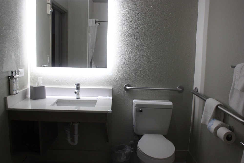 Holiday Inn Express Hotel & Suites Shamrock North by IHG - photo 52