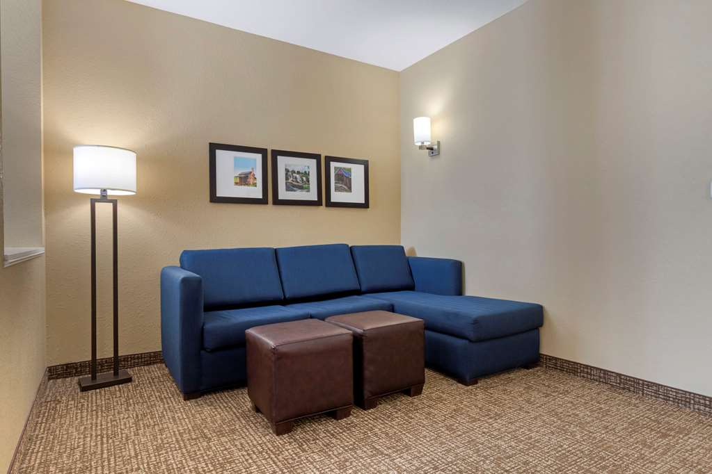 Comfort Suites Piedmont Greenville South - photo 20