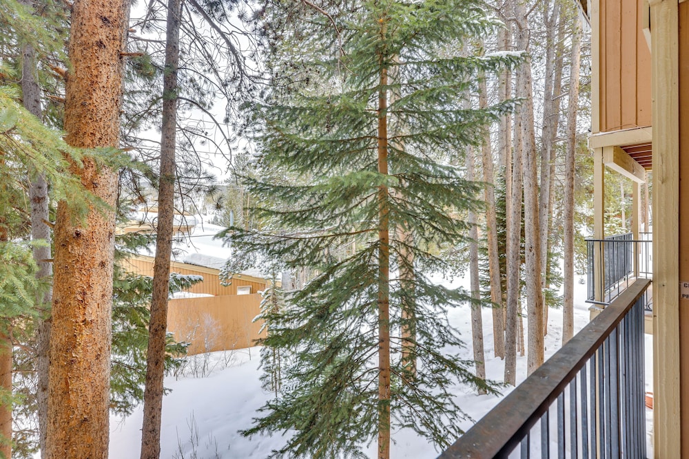 Winter Park Condo Rental about 2 Mi to Ski Resort - photo 19