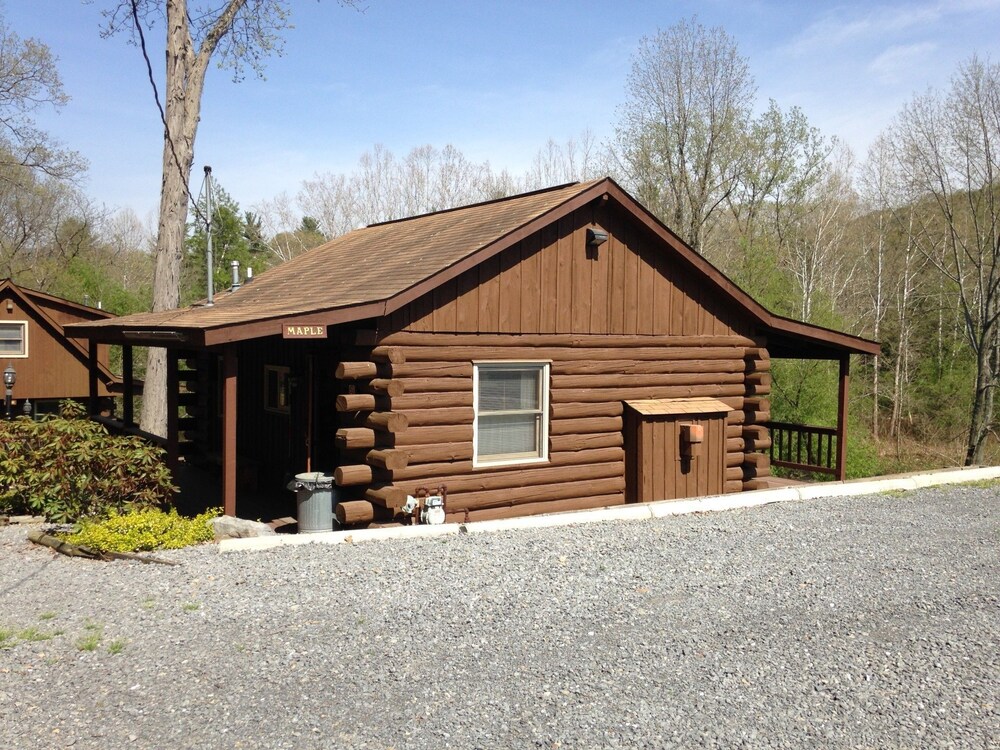Rough Cut Lodge - photo 74