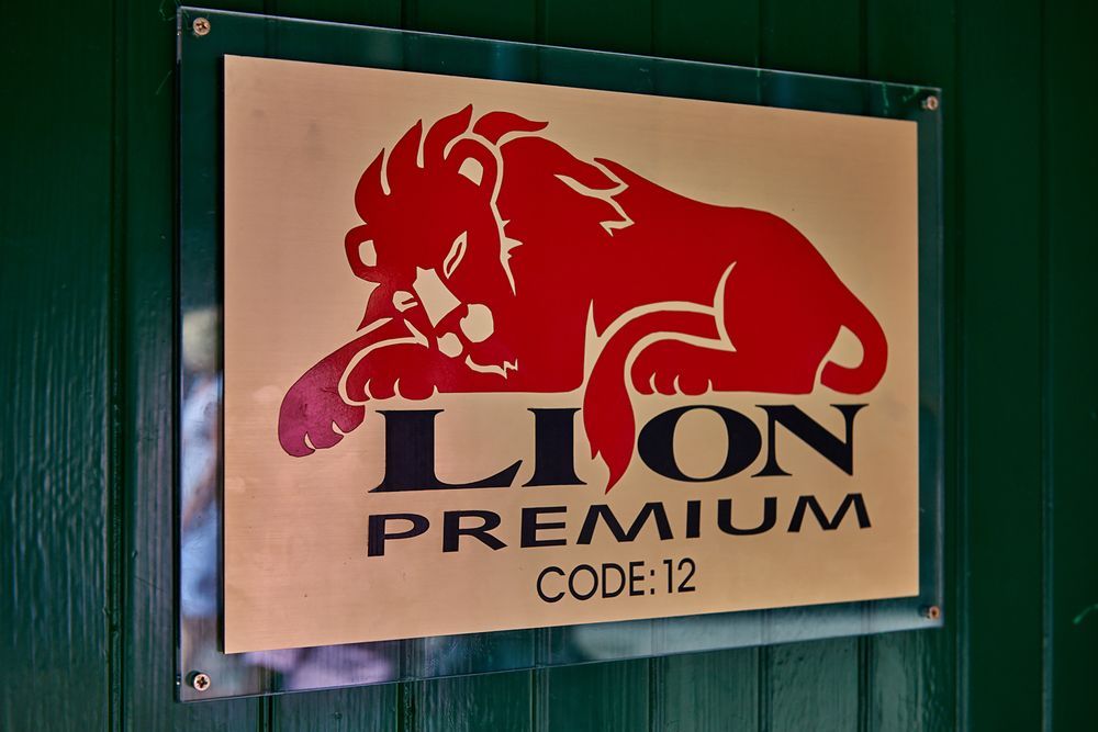 Lion Premium Hotel in Budapest, Hungary
