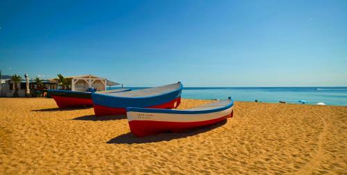 Can Mir Badalona — Badalona — photo 5