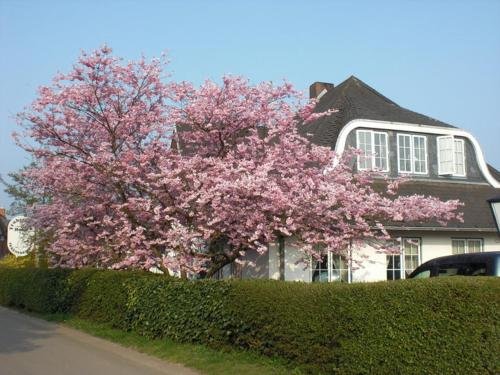 Hotel Ekke Nekkepenn - carbon neutral hotel in Westerland