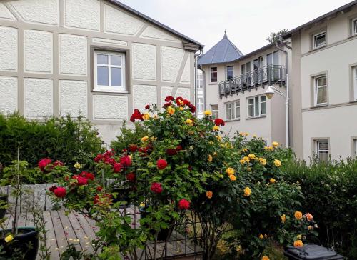Luxus Ferienhaus Kleine Rosenvilla — Sassnitz