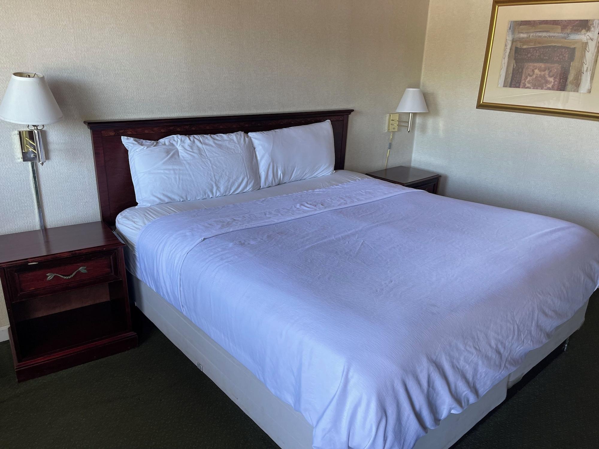 Paramount Motel - photo 6