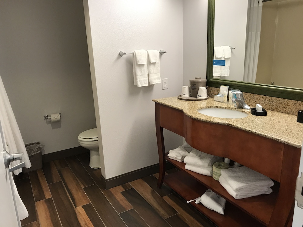 Hampton Inn & Suites Lamar - photo 76