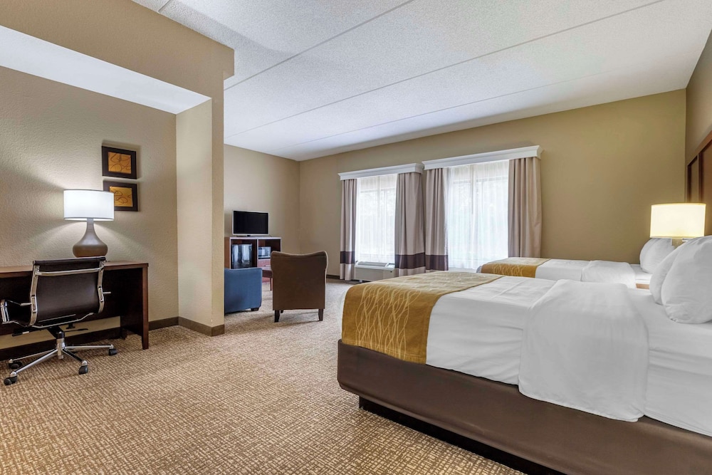 Comfort Inn & Suites Mocksville I 40 - photo 22