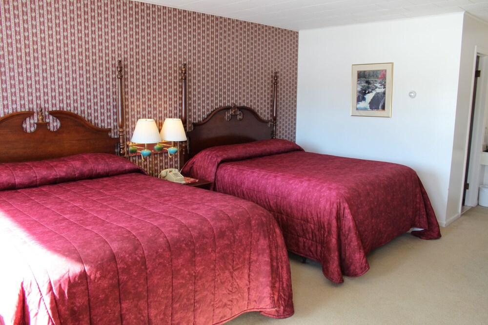 Sara Placid Inn & Suites - photo 8