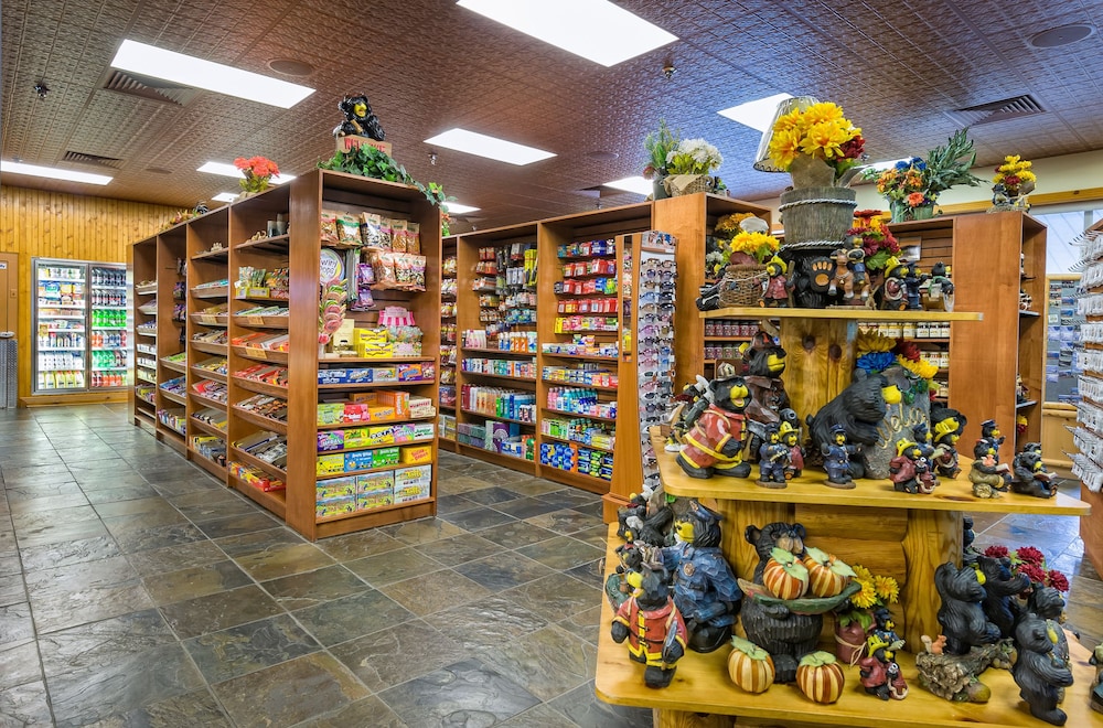 Westgate Smoky Mountain Resort & Spa - photo 46
