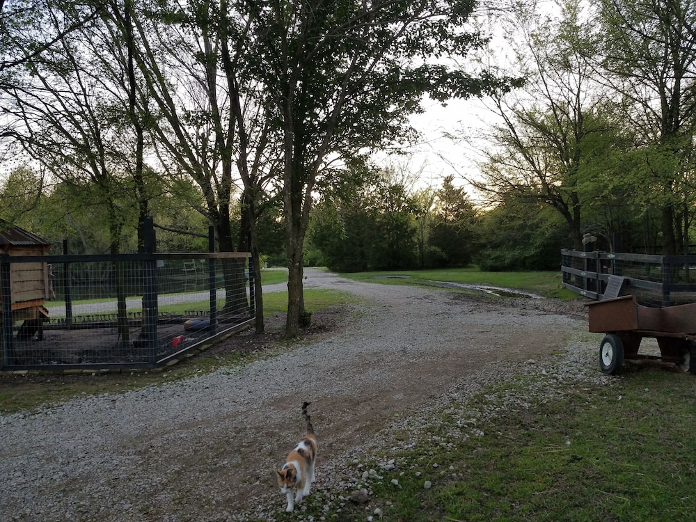 Savannah's Meadow - photo 21