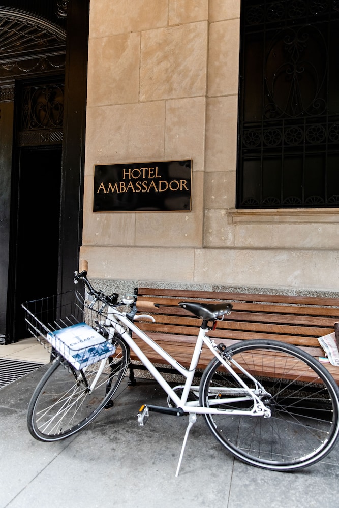 The Chicago Hotel Collection Ambassador Gold Coast - photo 45