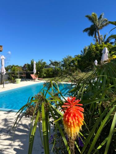 La case vétyver in Saint-Joseph, Réunion