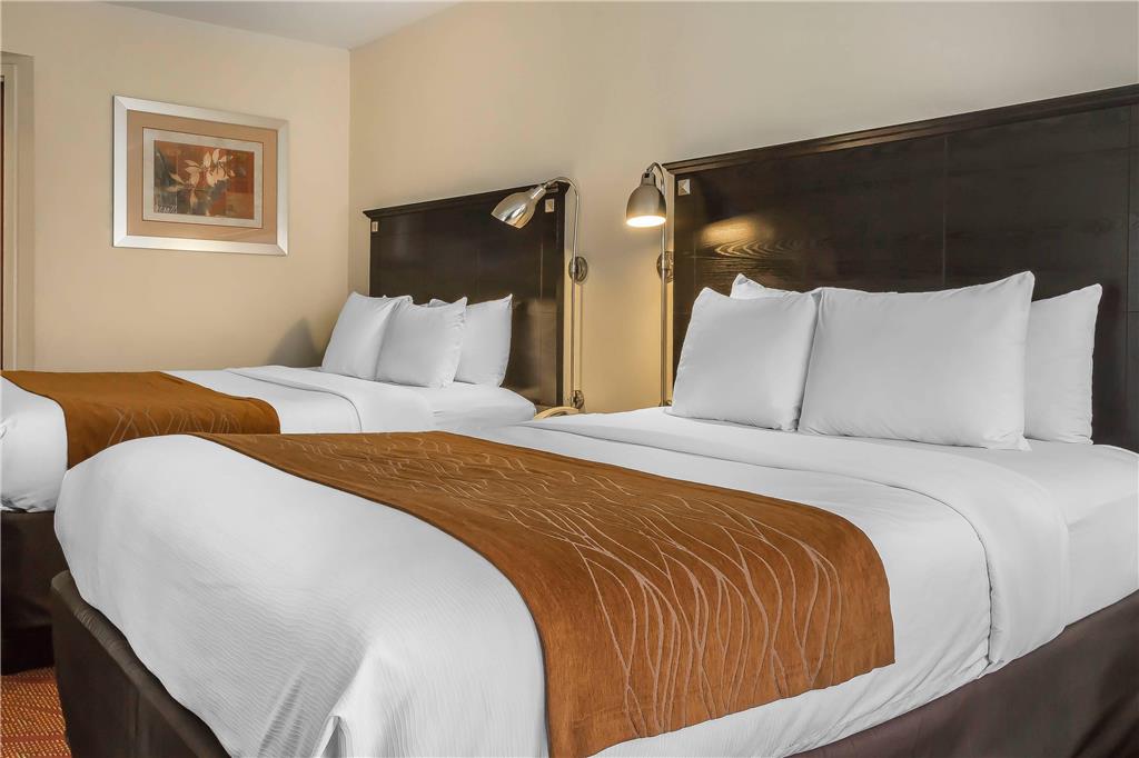Comfort Inn & Suites LaGuardia Airport - photo 18