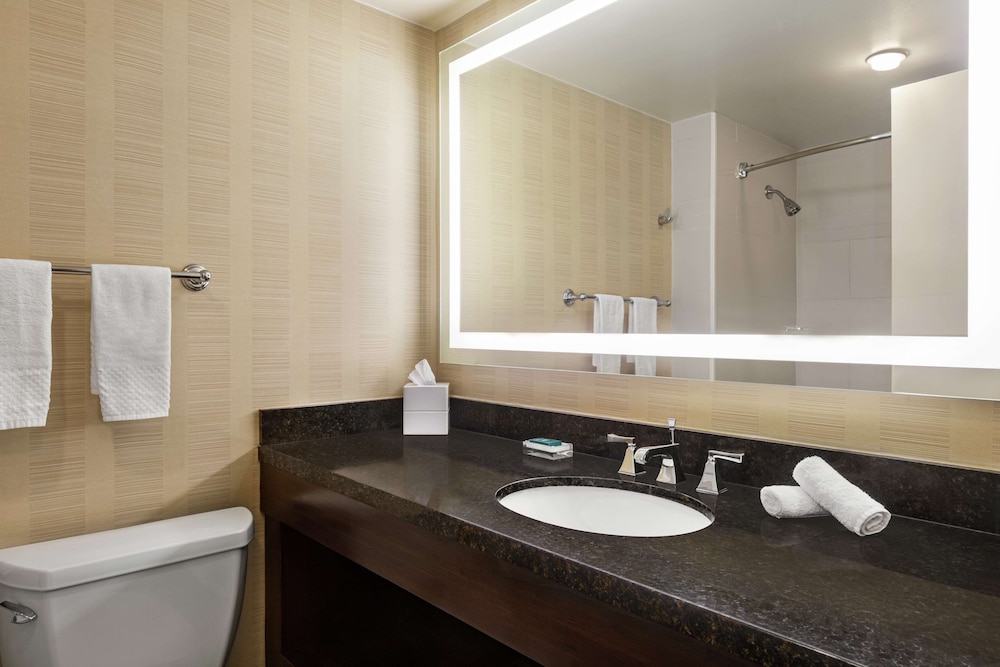 Hilton Tampa Downtown - photo 59