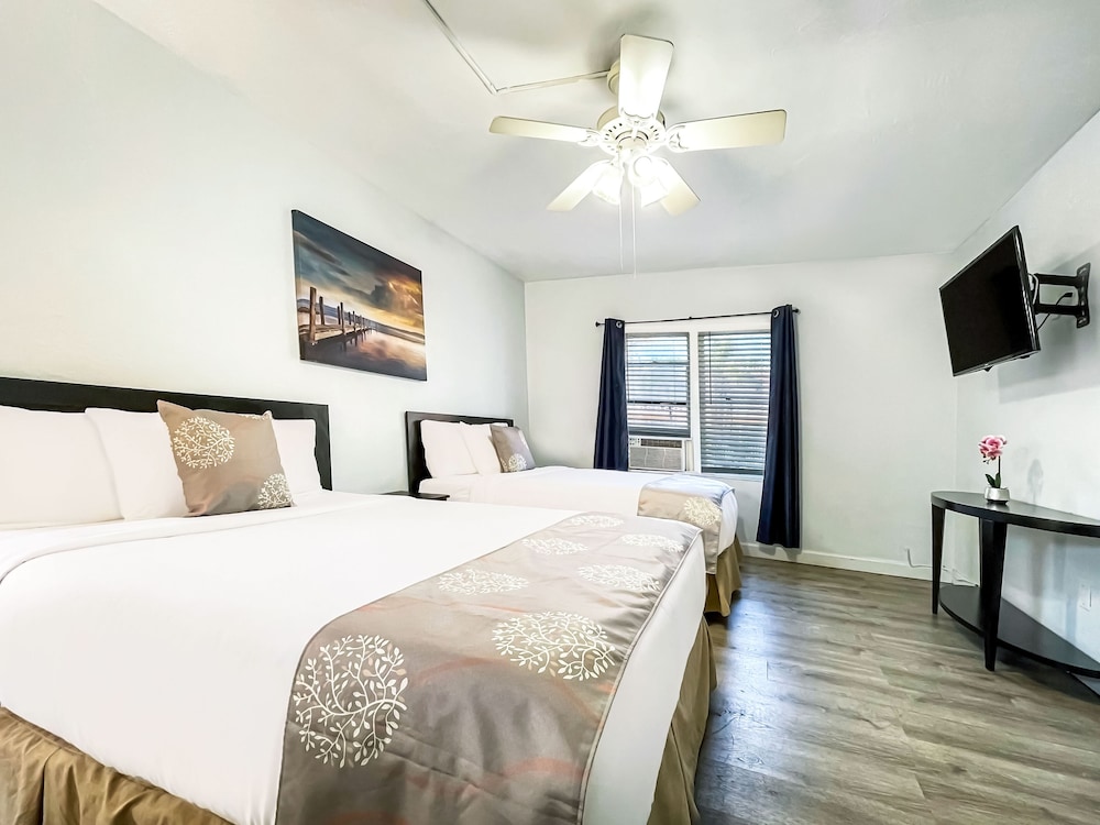 Hollywood Beach Hotels - photo 83