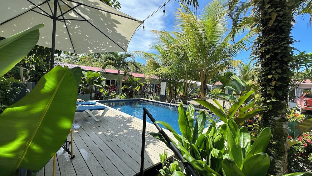 Rooms & Pool Macaws in Puntarenas, Costa Rica