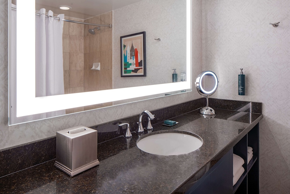 Doubletree Suites by Hilton Salt Lake City - photo 37