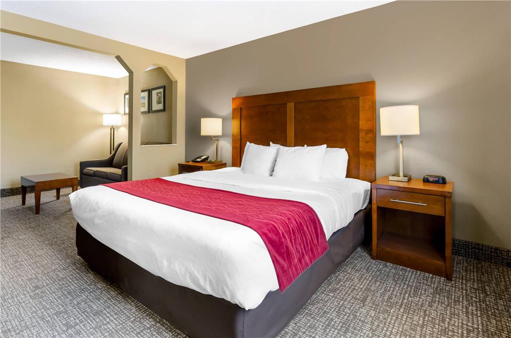 Comfort Inn & Suites Christiansburg I 81 - photo 12