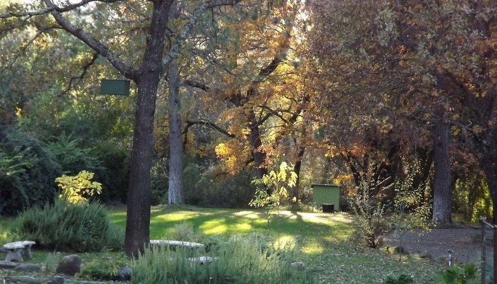 Backyard Garden Oasis - featured photo