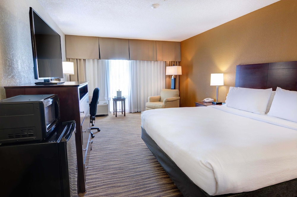 Holiday Inn St Petersburg N Clearwater by IHG - photo 17