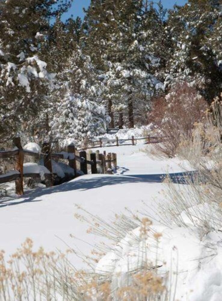 Gold Mountain Manor - photo 98