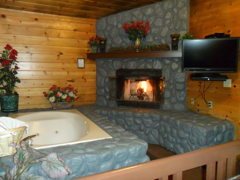 Big Bear Manor Spa Cabins - photo 17