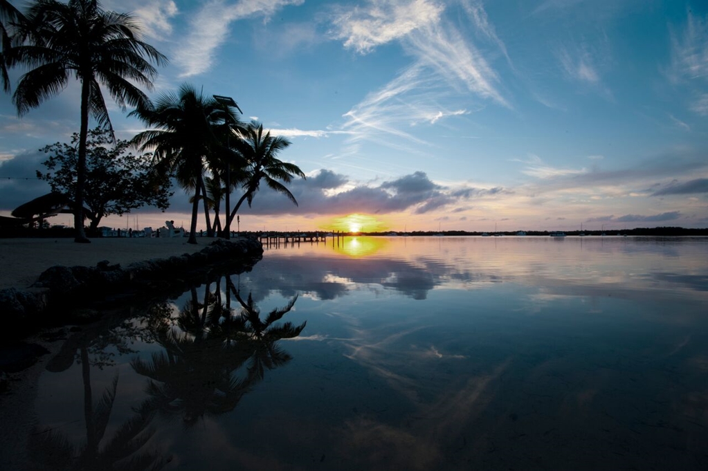 Coconut Palm Inn - photo 42