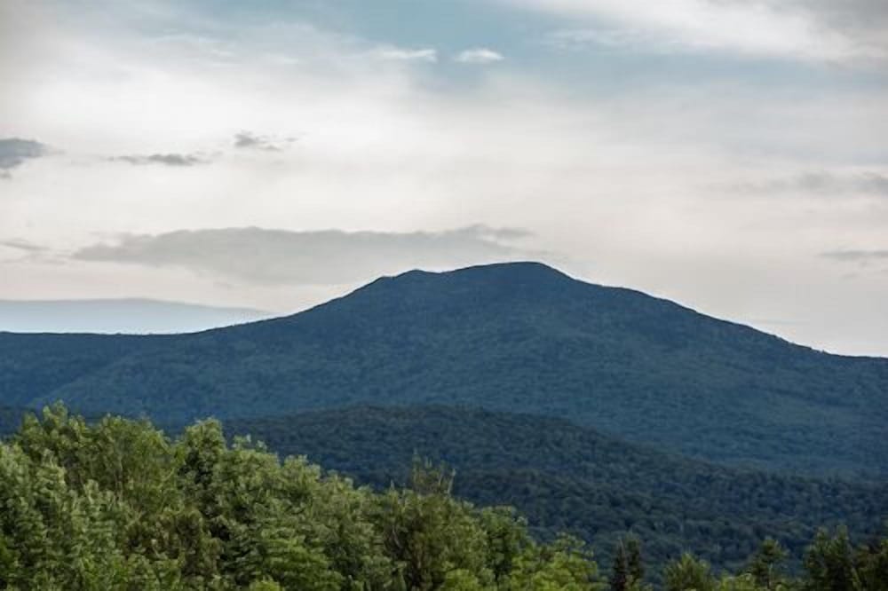 The Vermont Inn - photo 94