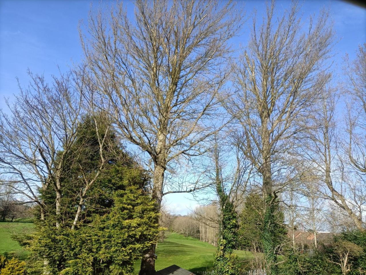Charming Mill Cottage Carrickfergus — Carrickfergus — photo 3
