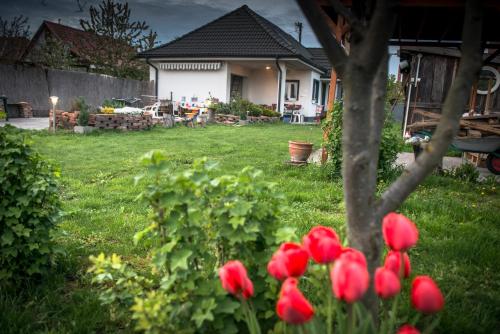 Big Garden House — 4-Star Luxury Hotel in Dunajska Streda, Slovakia